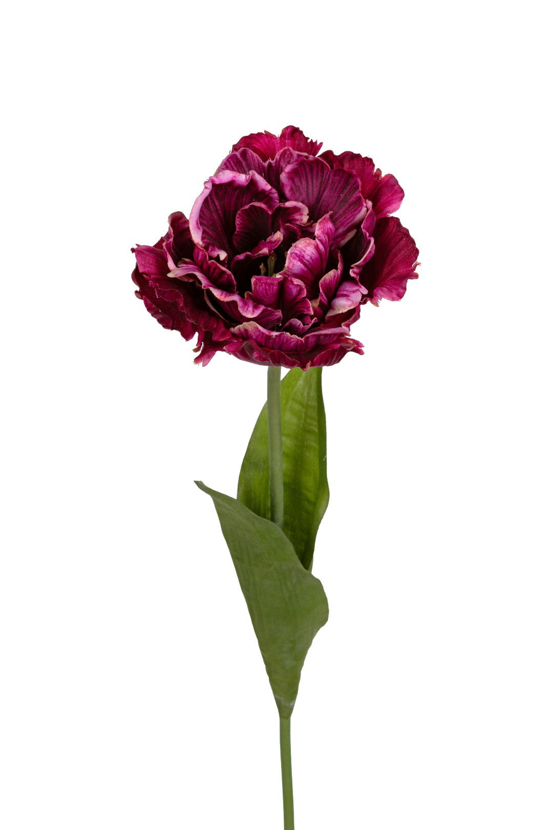 https://cdn.warentuin.nl/media/catalog/product/S/C/SCAN5414088392660_louis_maes_kunstbloem_papegaaitulp_l66cm_magenta_kunstbloem_l_50b4.jpg