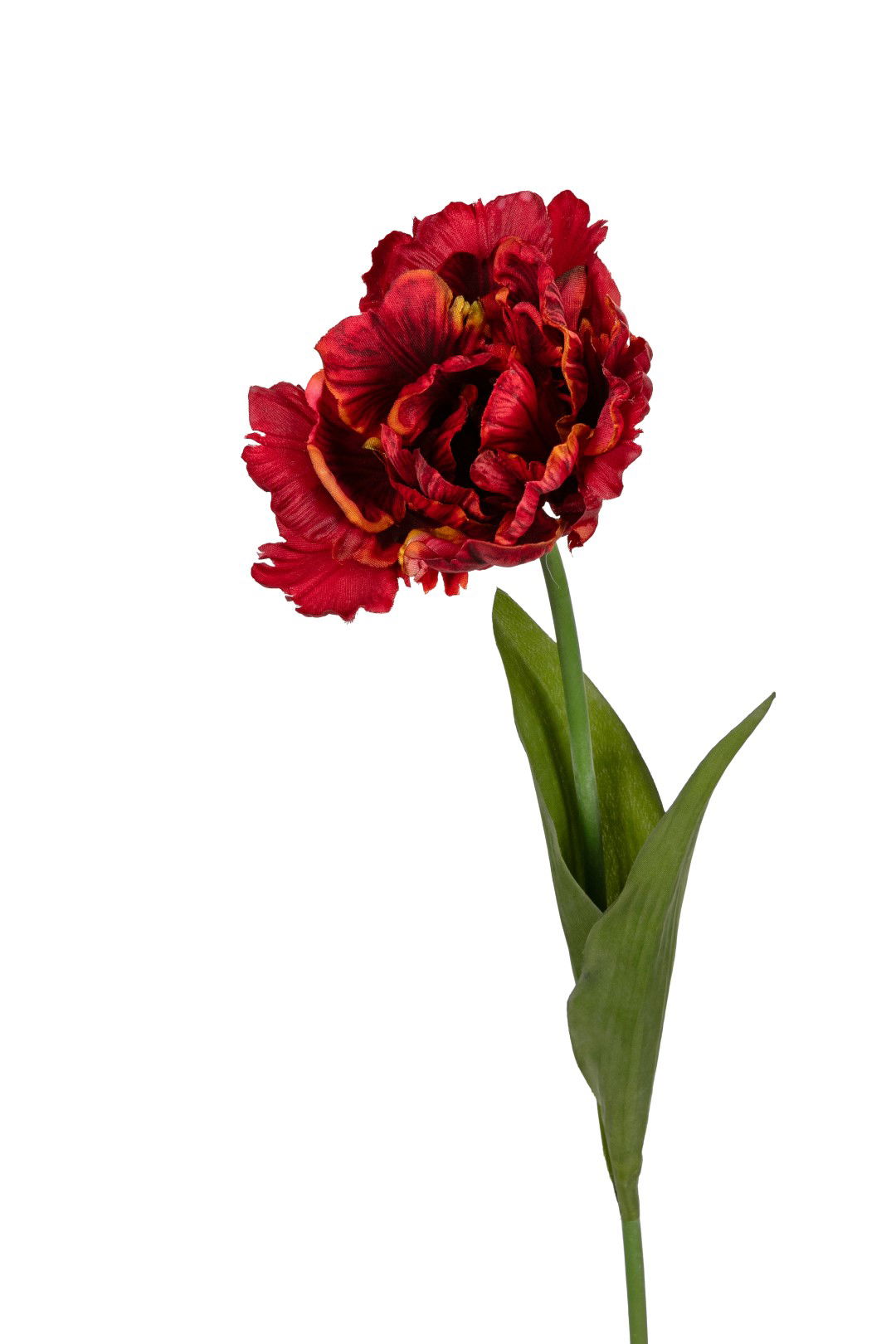 https://cdn.warentuin.nl/media/catalog/product/S/C/SCAN5414088392684_louis_maes_kunstbloem_papegaaitulp_l66cm_rood_oranje_kunstblo_e3a8.jpg