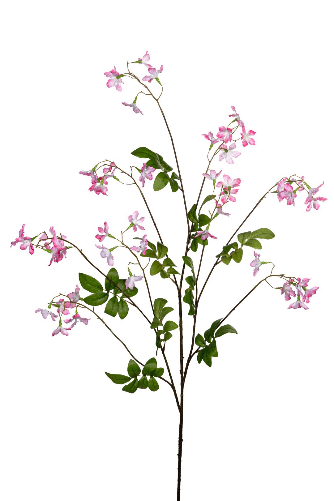 https://cdn.warentuin.nl/media/catalog/product/S/C/SCAN5414088392929_louis_maes_kunstbloem_stephanotis_l120cm_roze_kunstbloem_loui_574e.jpg