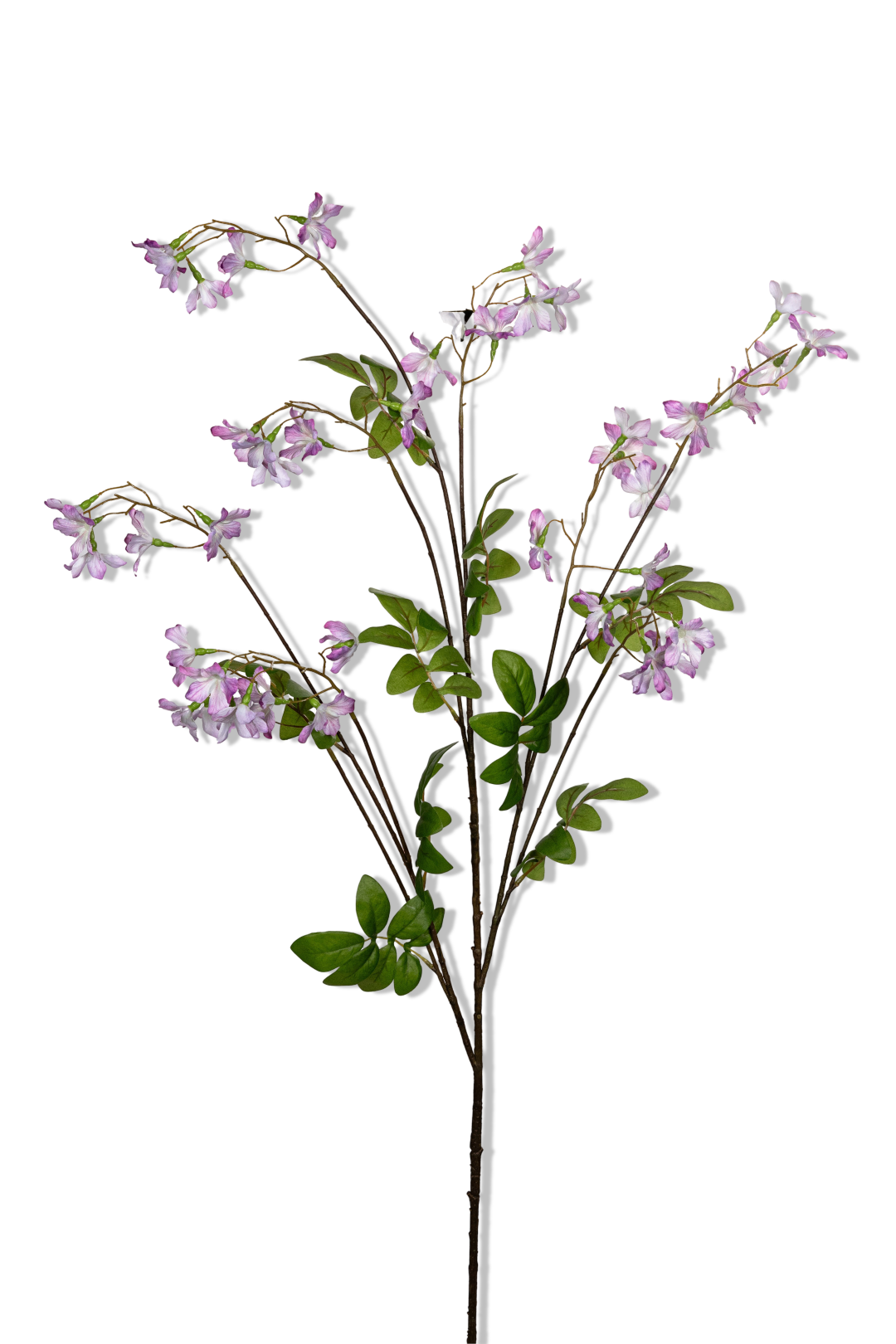 https://cdn.warentuin.nl/media/catalog/product/S/C/SCAN5414088392943_01_louis_maes_stephanotis_l120cm_lila_kunstbloem_03ab.png