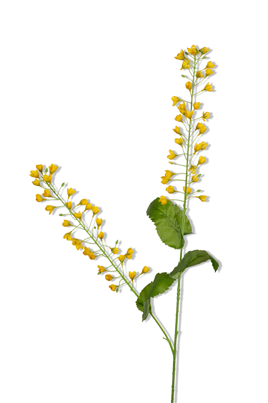 https://cdn.warentuin.nl/media/catalog/product/S/C/SCAN5414088392974_01_louis_maes_bellflower_l107cm_geel_kunstbloem_5017.png