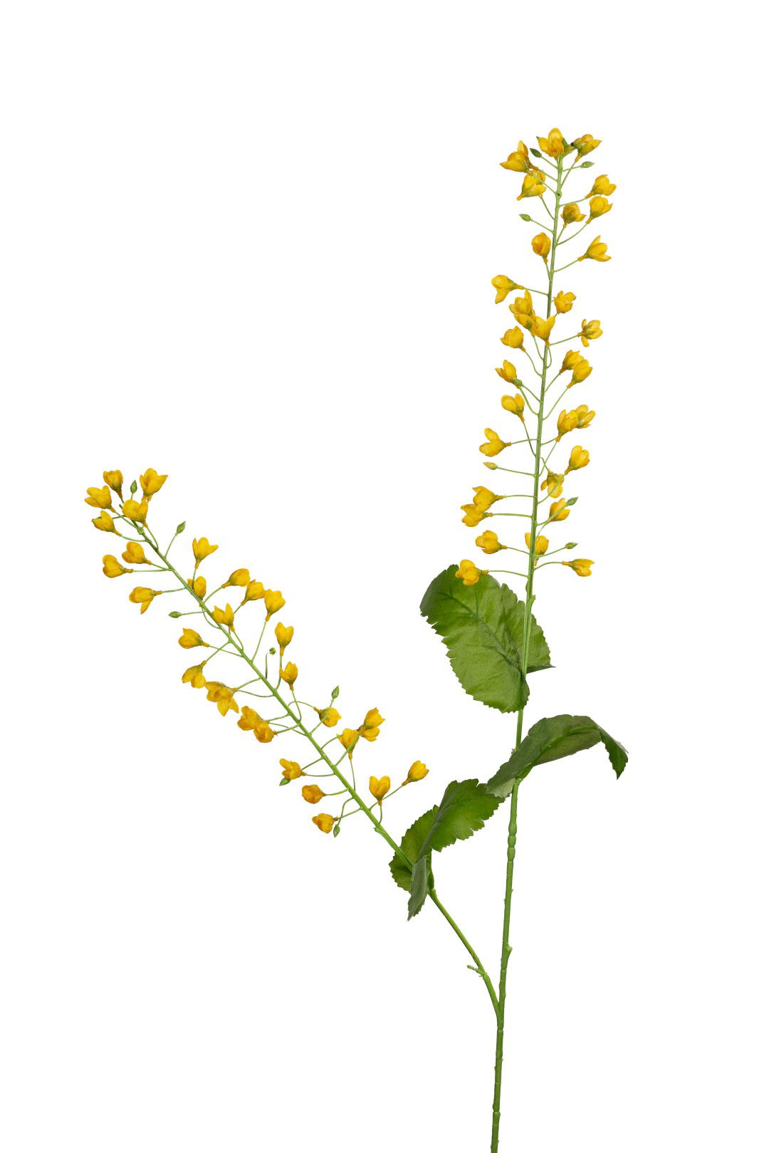 https://cdn.warentuin.nl/media/catalog/product/S/C/SCAN5414088392974_louis_maes_kunstbloem_bellflower_l107cm_geel_kunstbloem_louis_233c.jpg
