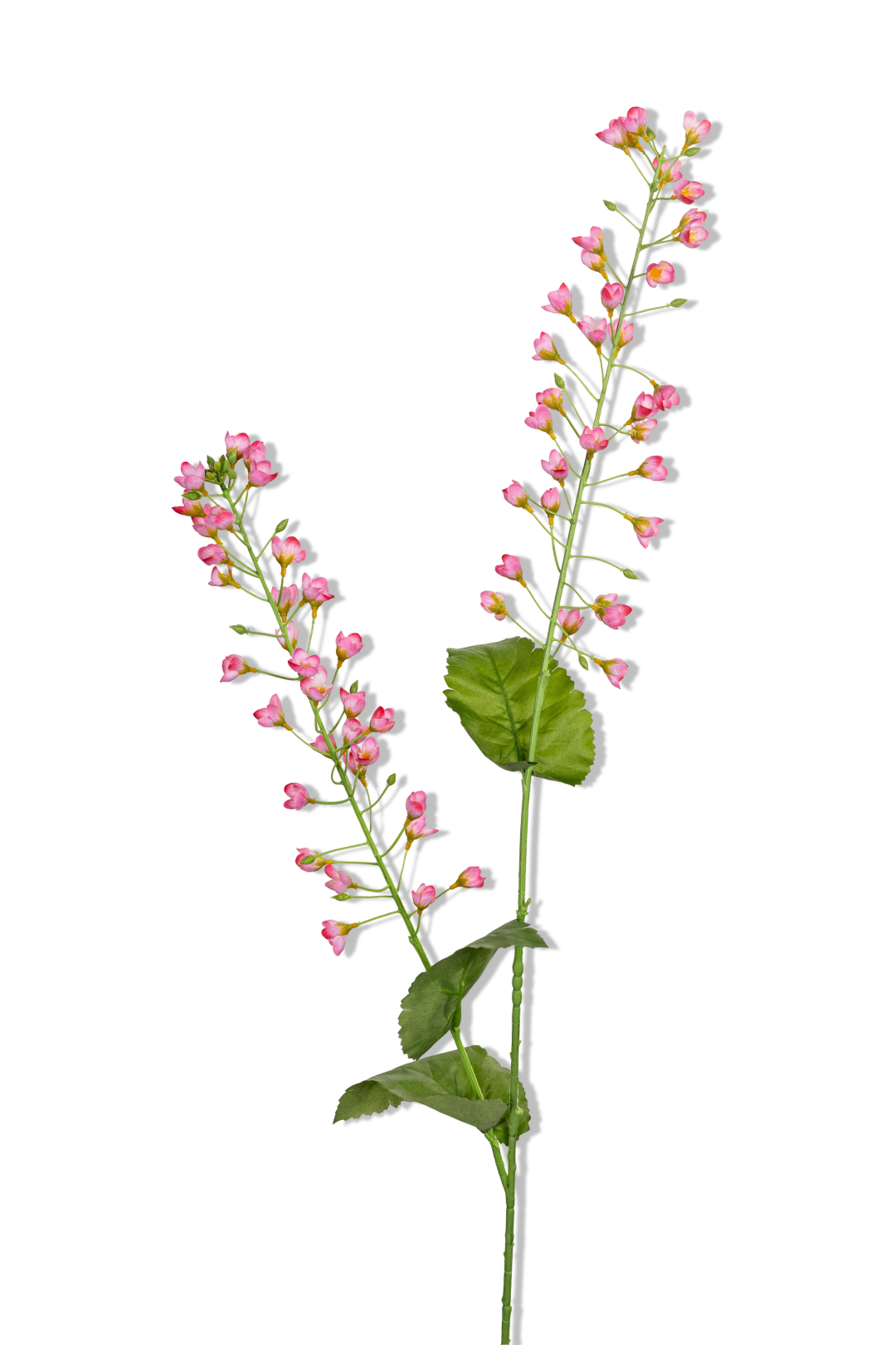https://cdn.warentuin.nl/media/catalog/product/S/C/SCAN5414088392981_01_louis_maes_bellflower_l107cm_lt_roze_kunstbloem_83a6.png