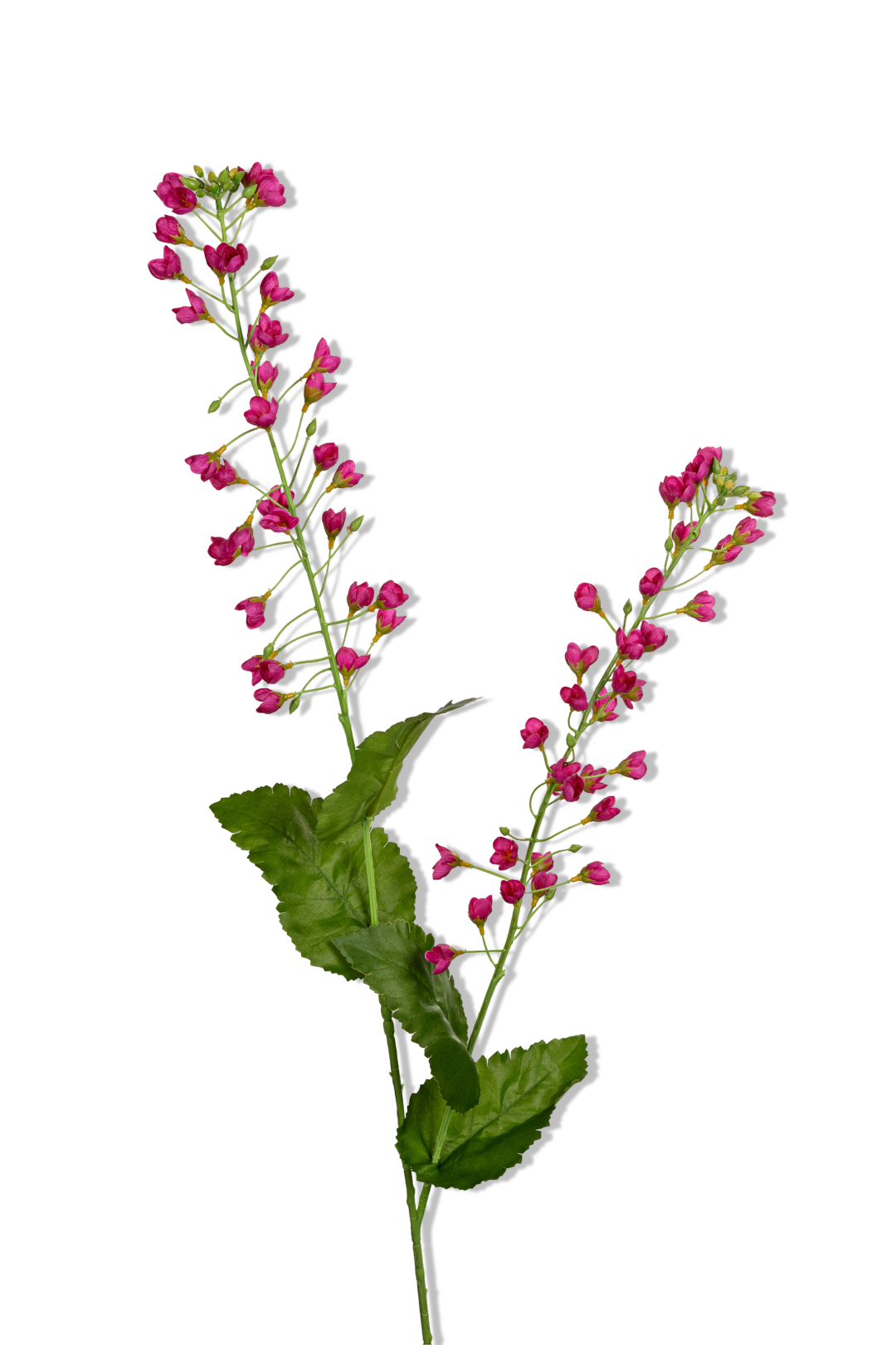 https://cdn.warentuin.nl/media/catalog/product/S/C/SCAN5414088393001_01_louis_maes_bellflower_l107cm_cerise_kunstbloem_274b.png