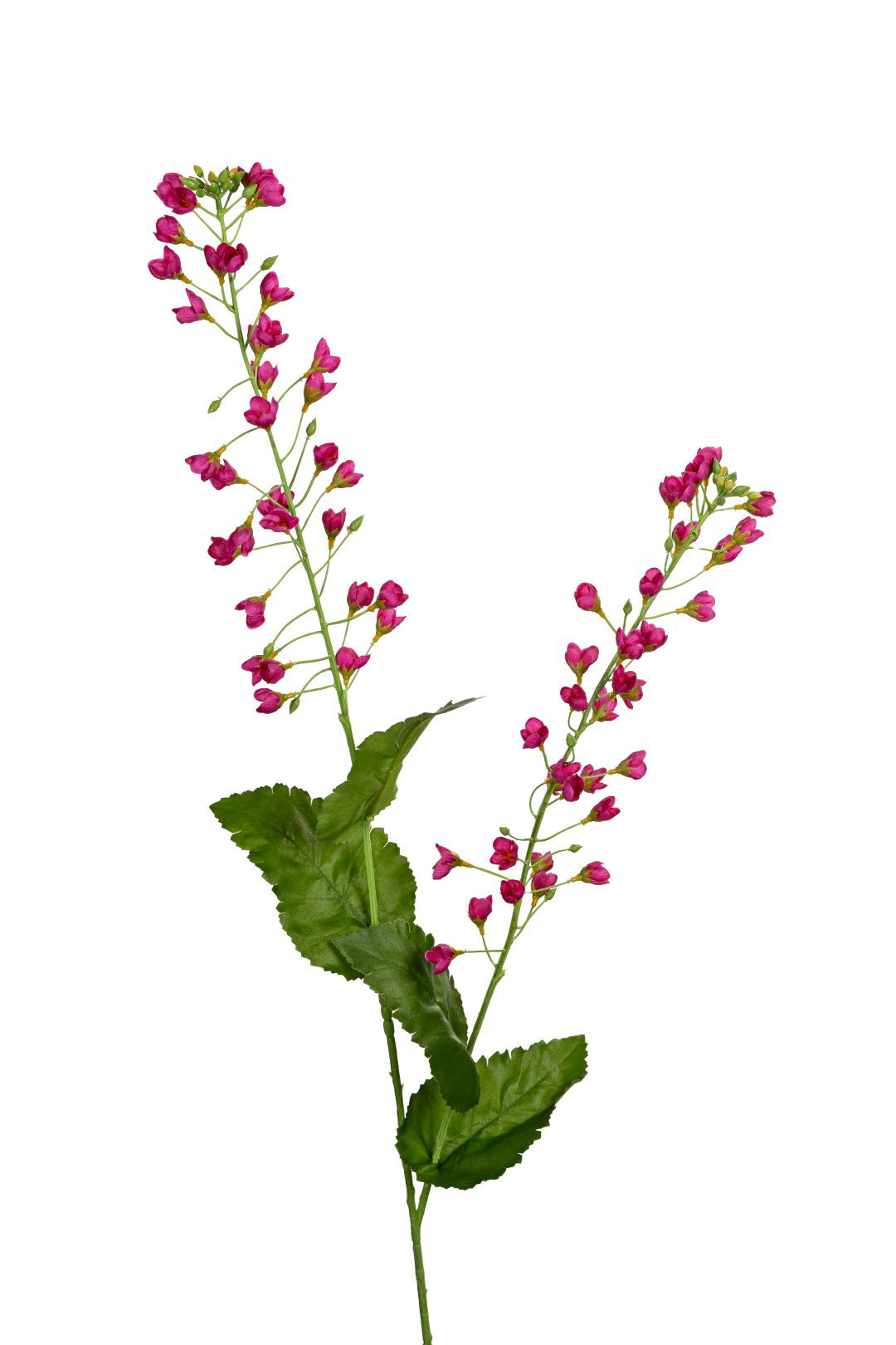 https://cdn.warentuin.nl/media/catalog/product/S/C/SCAN5414088393001_louis_maes_kunstbloem_bellflower_l107cm_cerise_kunstbloem_lou_6bc4.jpg