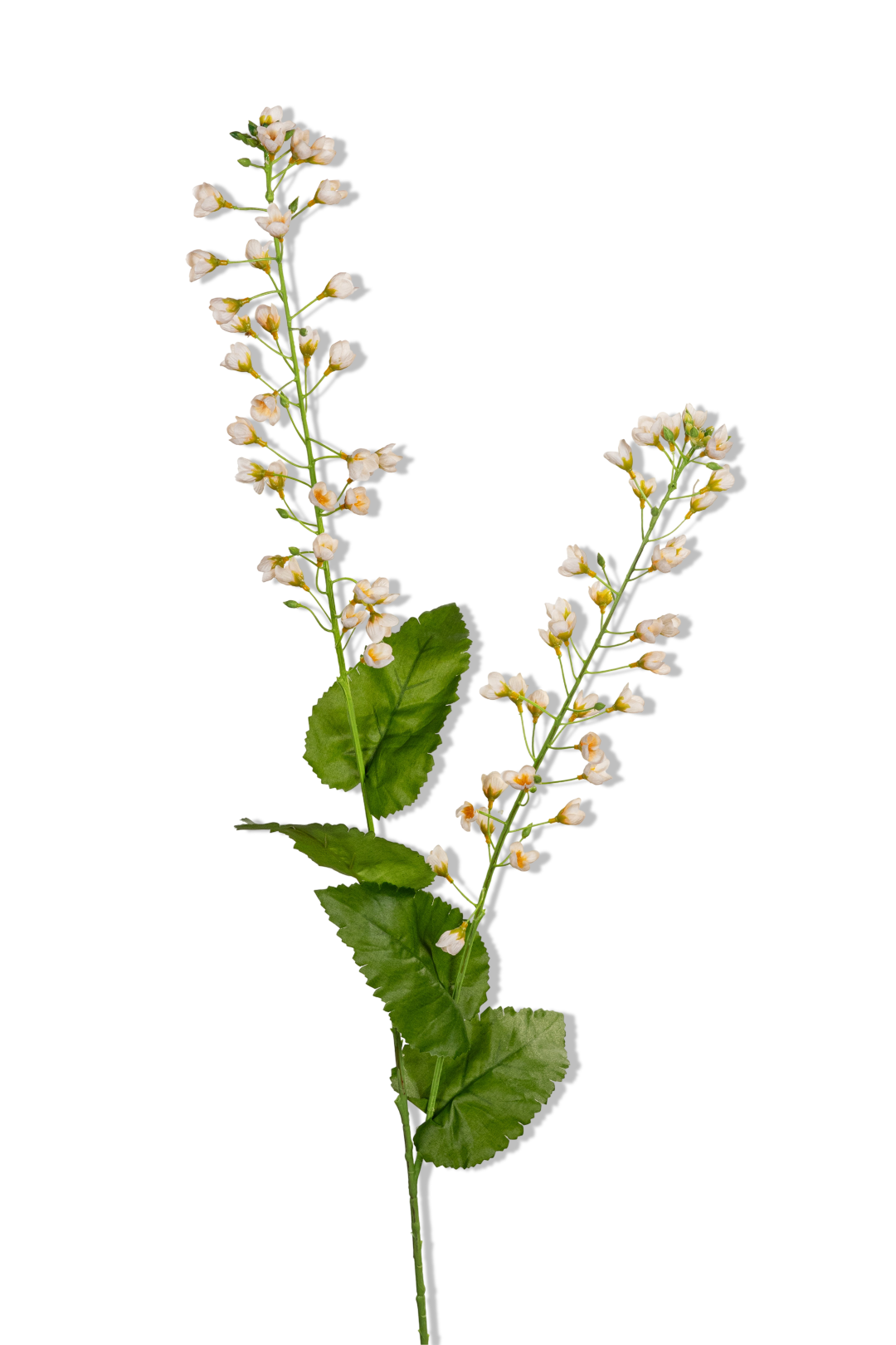 https://cdn.warentuin.nl/media/catalog/product/S/C/SCAN5414088393025_01_louis_maes_bellflower_l107cm_creme_kunstbloem_ea1d.png