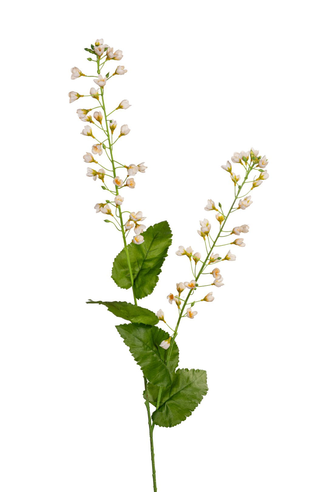 https://cdn.warentuin.nl/media/catalog/product/S/C/SCAN5414088393025_louis_maes_kunstbloem_bellflower_l107cm_creme_kunstbloem_loui_aee8.jpg