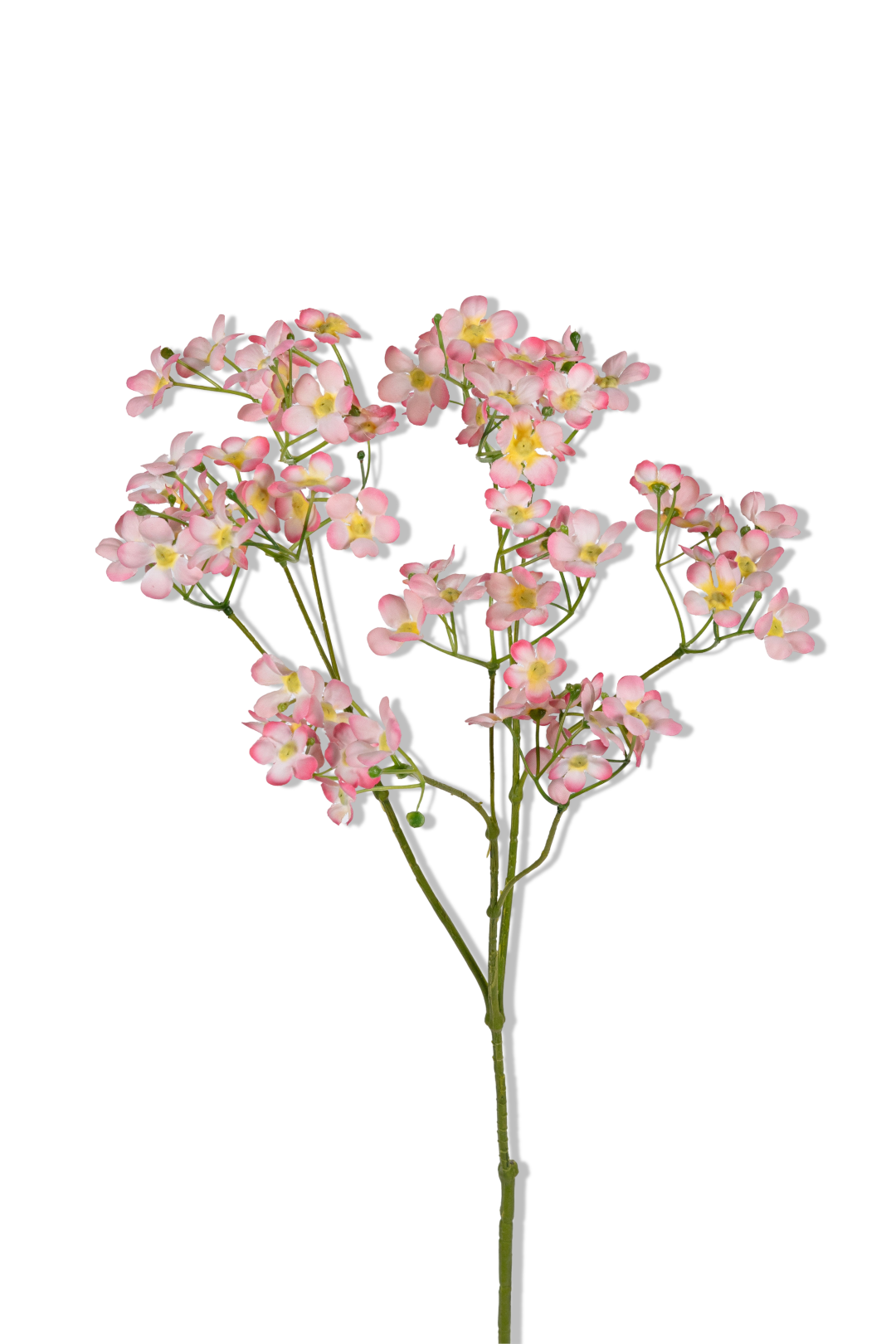 https://cdn.warentuin.nl/media/catalog/product/S/C/SCAN5414088393315_01_louis_maes_gypsophila_l70cm_roze_kunstbloem_1259.png