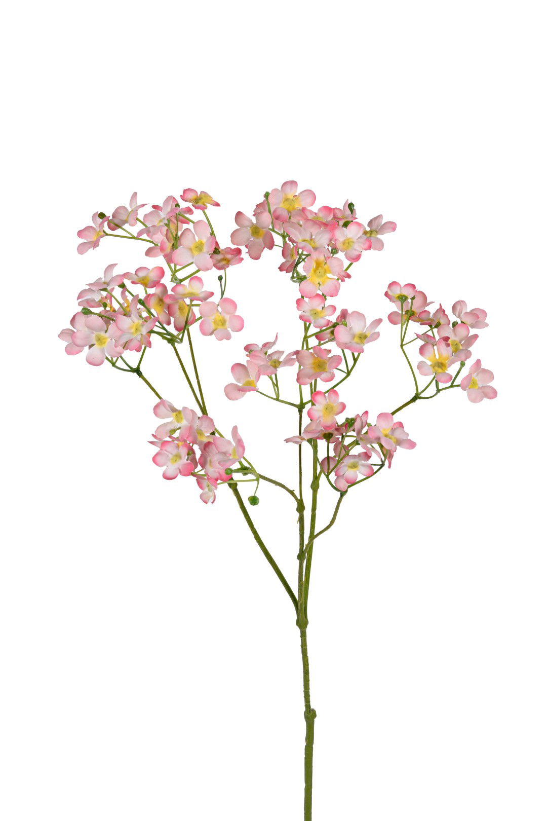 https://cdn.warentuin.nl/media/catalog/product/S/C/SCAN5414088393315_louis_maes_kunstbloem_gypsophila_l70cm_roze_kunstbloem_louis__d5d8.jpg