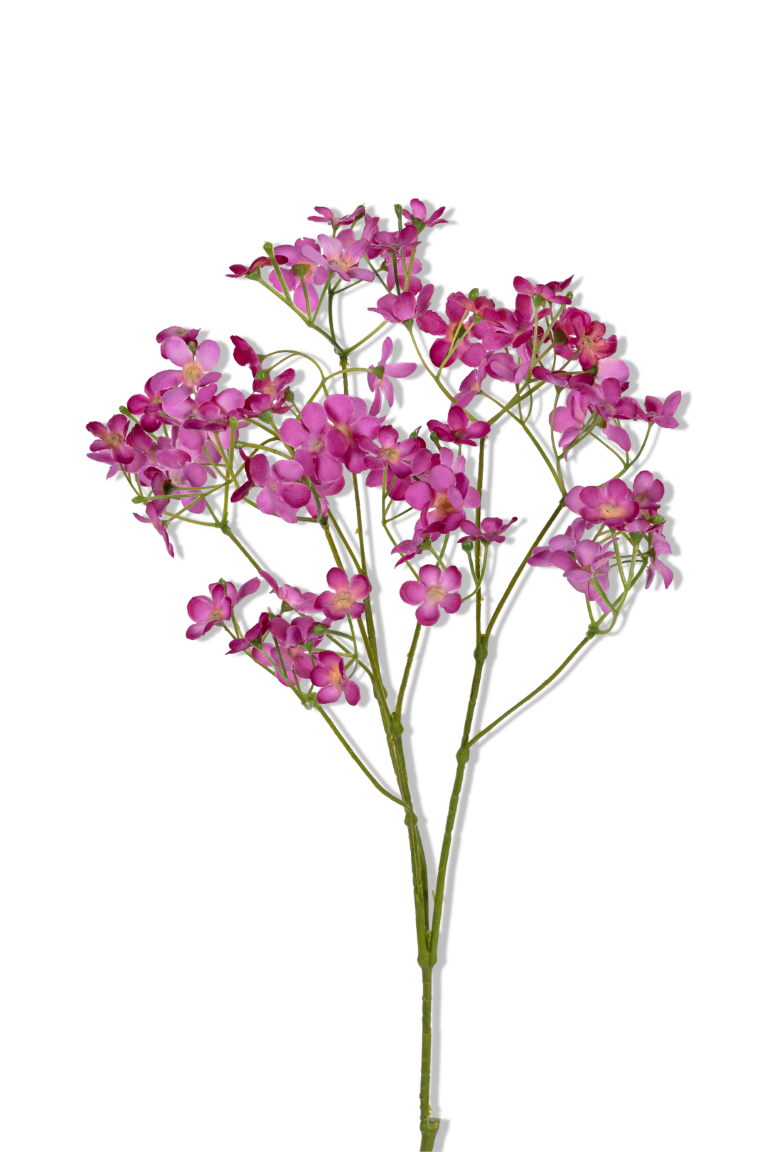 https://cdn.warentuin.nl/media/catalog/product/S/C/SCAN5414088393339_01_louis_maes_gypsophila_l70cm_magenta_kunstbloem_230e.png