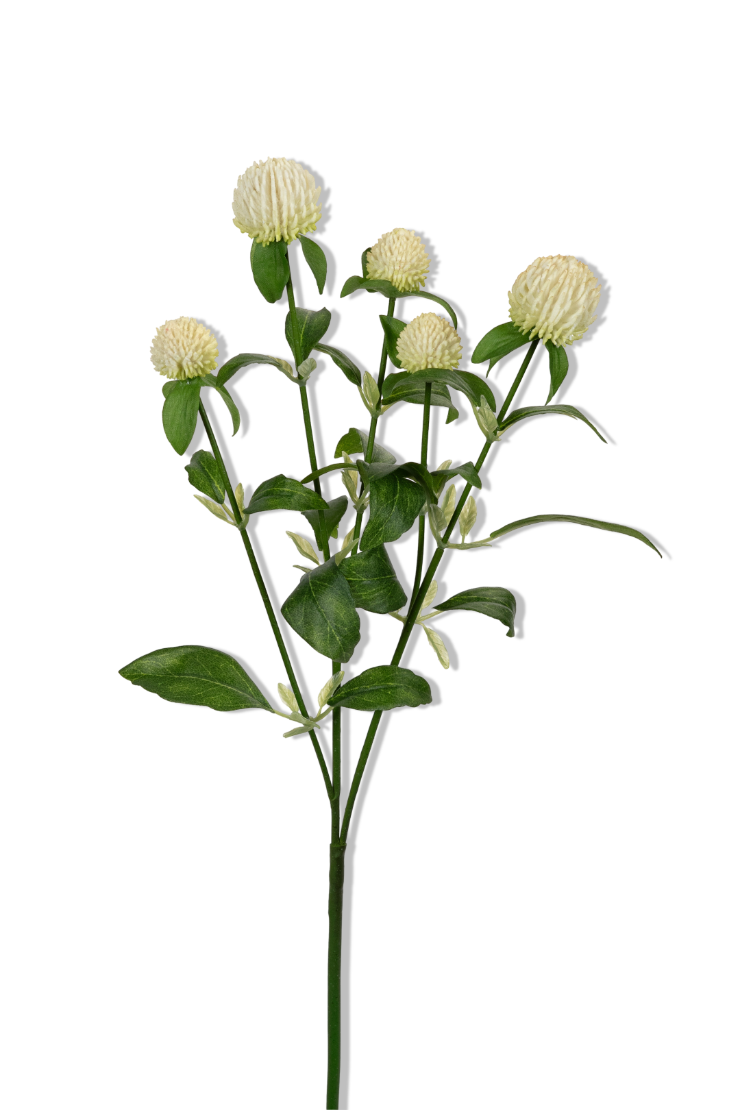 https://cdn.warentuin.nl/media/catalog/product/S/C/SCAN5414088393391_01_louis_maes_distel_l65cm_wit_kunstbloem_5090.png