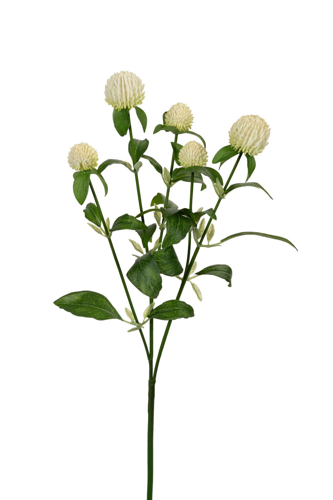 https://cdn.warentuin.nl/media/catalog/product/S/C/SCAN5414088393391_louis_maes_kunstbloem_distel_l65cm_wit_kunstbloem_louis_maes_3be0.jpg