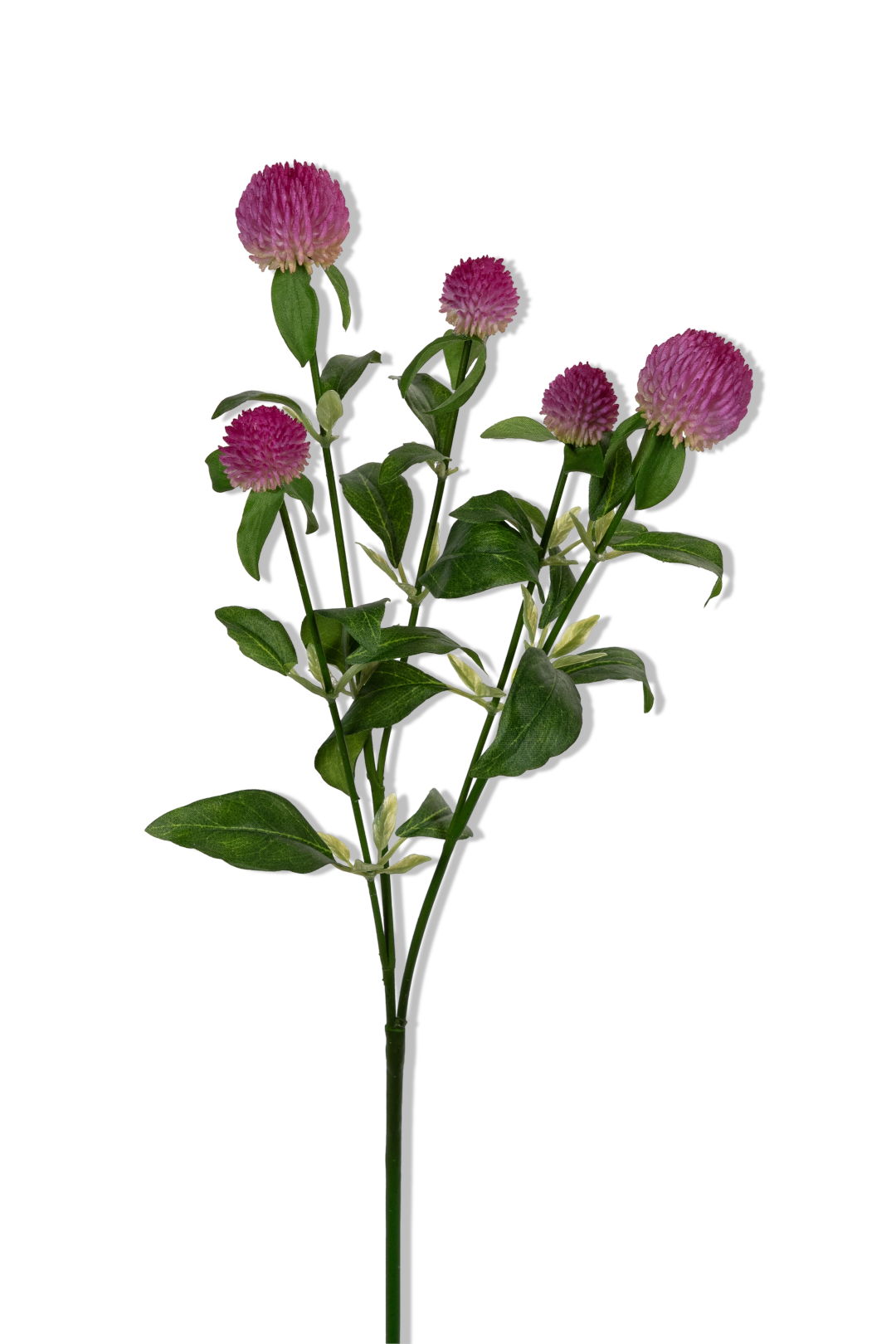 https://cdn.warentuin.nl/media/catalog/product/S/C/SCAN5414088393414_01_louis_maes_distel_l65cm_cerise_kunstbloem_b46e.png