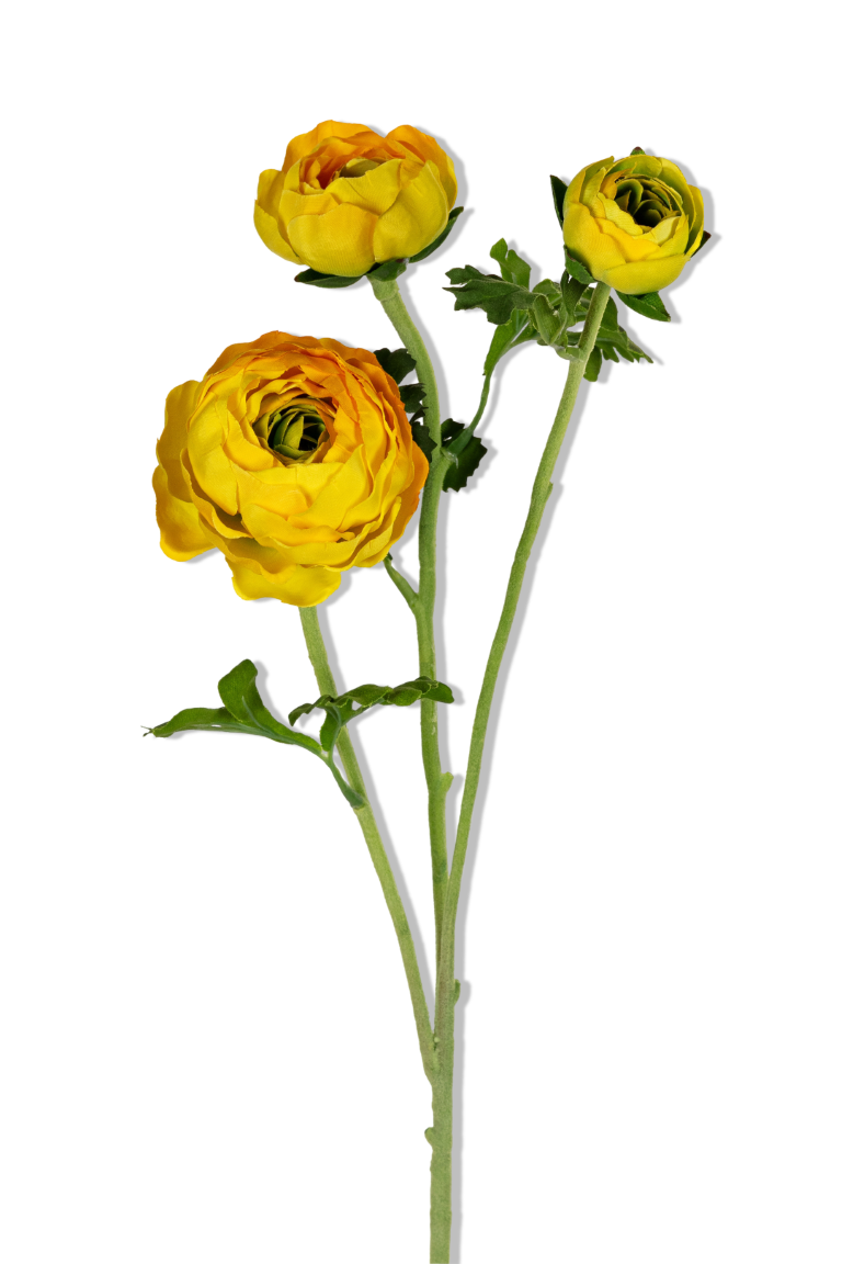 https://cdn.warentuin.nl/media/catalog/product/S/C/SCAN5414088393759_01_louis_maes_ranonkel_x3_l70cm_geel_kunstbloem_050d.png