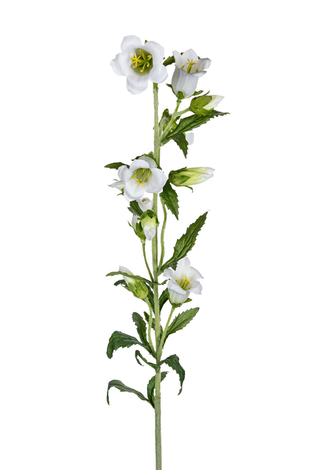 Louis maes Campanula l87cm wit kunstbloem  - 