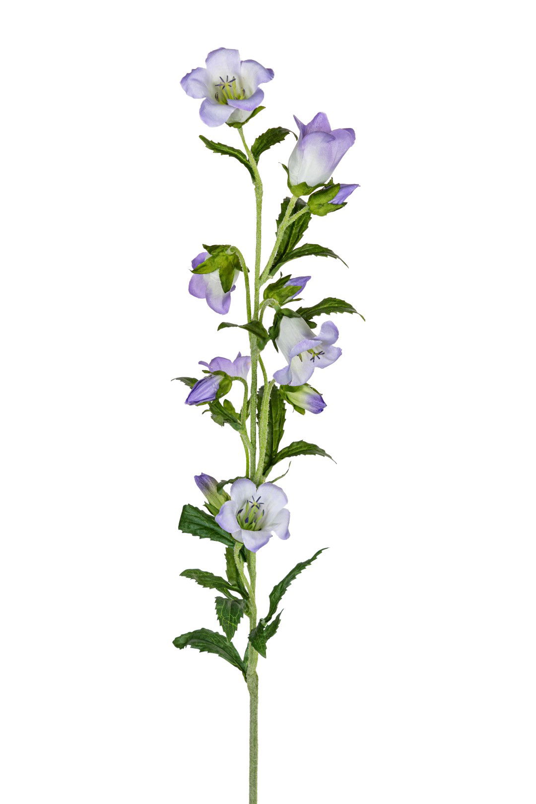 Louis maes Campanula l87cm lila kunstbloem  - 