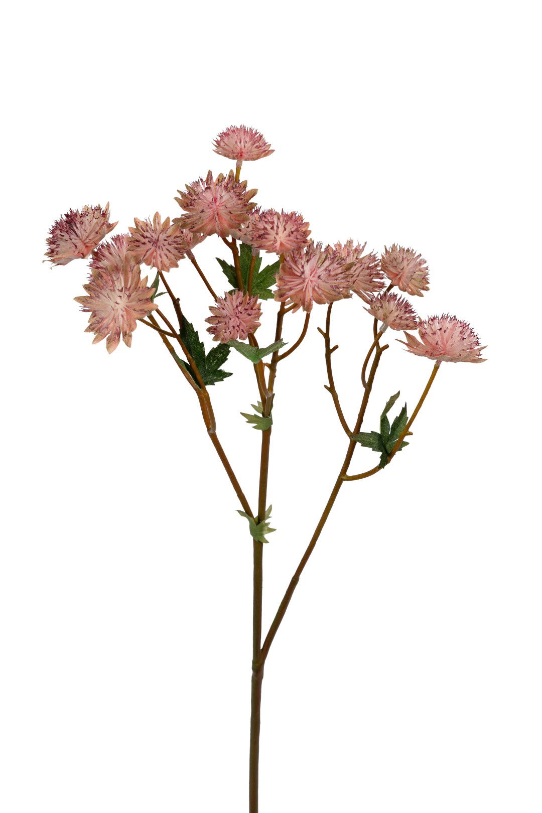 https://cdn.warentuin.nl/media/catalog/product/S/C/SCAN5414088393957_louis_maes_kunstbloem_astrantia_l60cm_roze_kunstbloem_louis_m_bf89.jpg