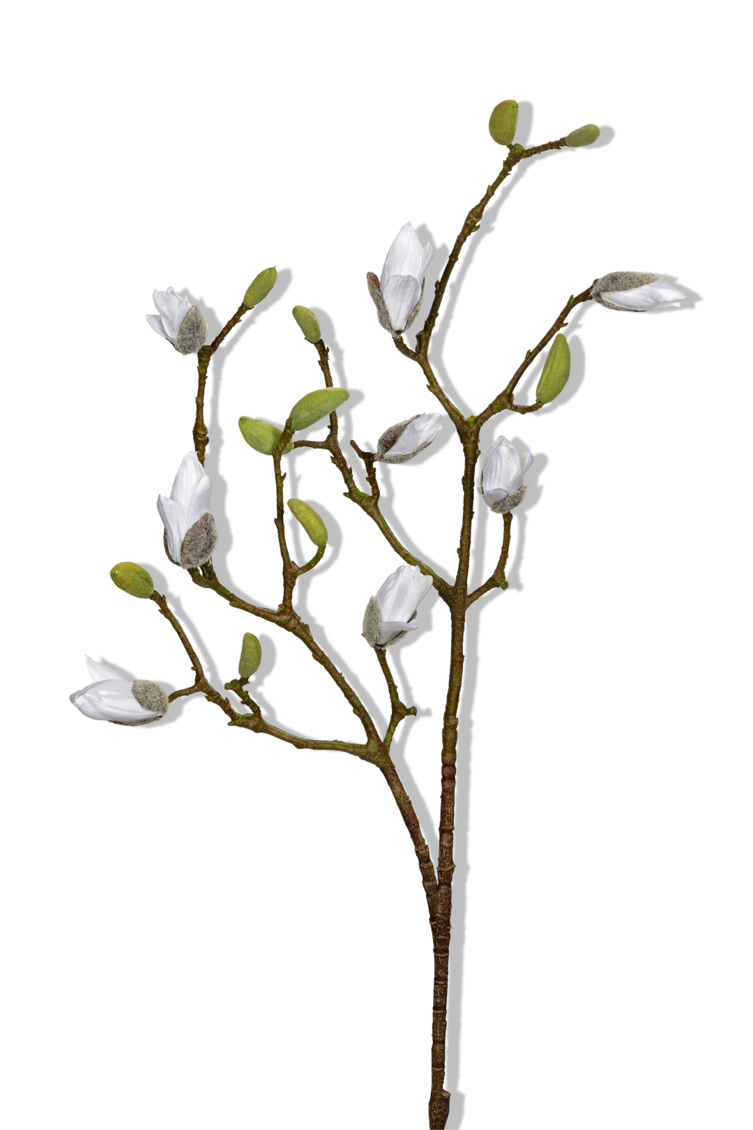 https://cdn.warentuin.nl/media/catalog/product/S/C/SCAN5414088394121_01_louis_maes_magnolia_knoppen_l90cm_wit_kunstbloem_b63c.png
