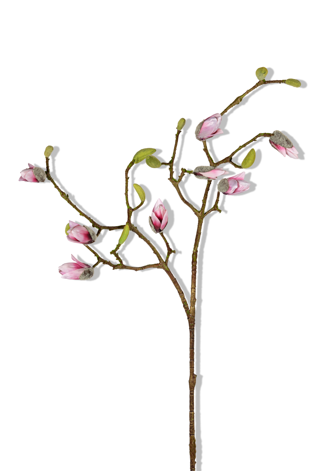 https://cdn.warentuin.nl/media/catalog/product/S/C/SCAN5414088394138_01_louis_maes_magnolia_knoppen_l90cm_roze_kunstbloem_c961.png