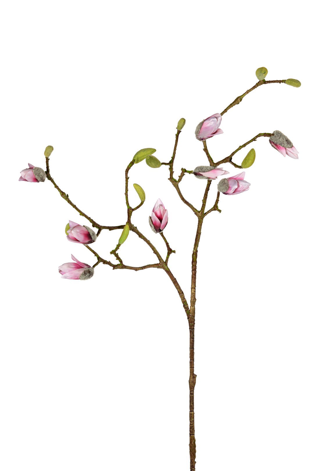https://cdn.warentuin.nl/media/catalog/product/S/C/SCAN5414088394138_louis_maes_kunstbloem_magnolia_knoppen_l90cm_roze_kunstbloem__2385.jpg