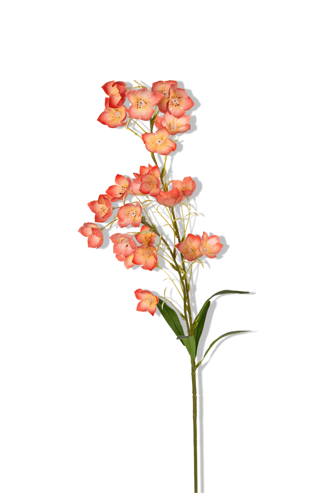 https://cdn.warentuin.nl/media/catalog/product/S/C/SCAN5414088394299_01_louis_maes_campanula_l95cm_koraal_kunstbloem_7952.png