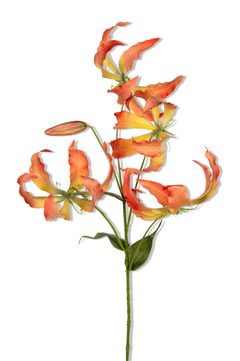 https://cdn.warentuin.nl/media/catalog/product/S/C/SCAN5414088394787_01_louis_maes_gloriosa_l95cm_kunstbloem_6e72.png