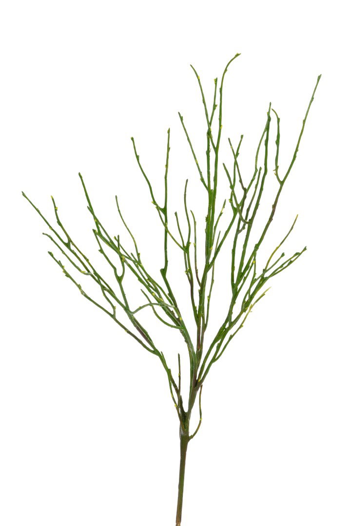 Takje l77 cm groen kunstbloemen Louis Maes - Louis maes