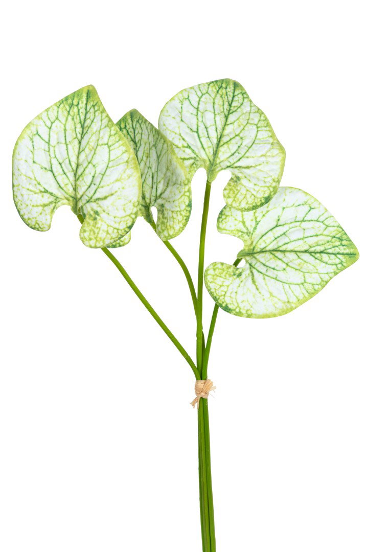 Caladium bundel h40 cm groen/wit kunstbloemen Louis Maes - Louis maes