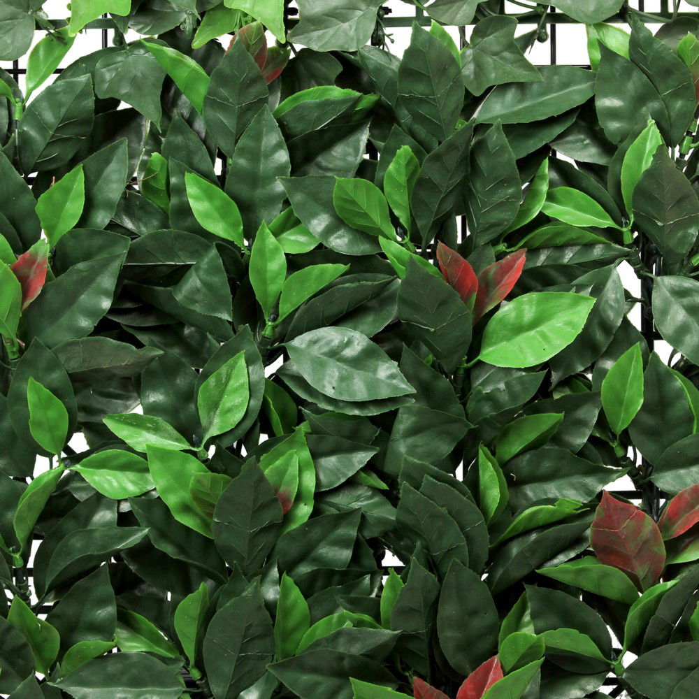 https://cdn.warentuin.nl/media/catalog/product/S/C/SCAN5425021401516_01_effenso_kunstklimop_tile_laurier_483b.jpg