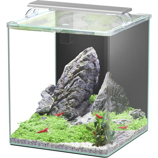 https://cdn.warentuin.nl/media/catalog/product/S/C/SCAN5607329215372_aquatlantis_kubus_curve_essential_30l_led__ccc4.jpg