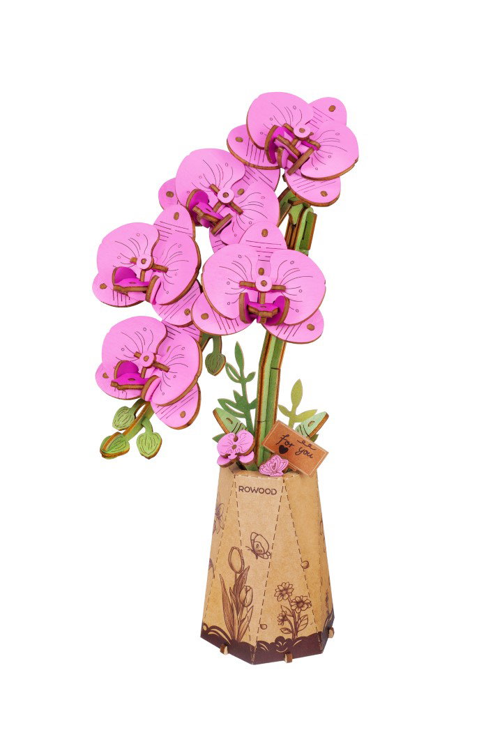 https://cdn.warentuin.nl/media/catalog/product/S/C/SCAN6946785124262_purple_moth_orchid_robotime_d8a0.jpg