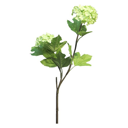 https://cdn.warentuin.nl/media/catalog/product/S/C/SCAN705451182816_nova_nature_kunstbloemen_viburnum_roseum_x2_green_50_cm_kunstb_9831.jpg