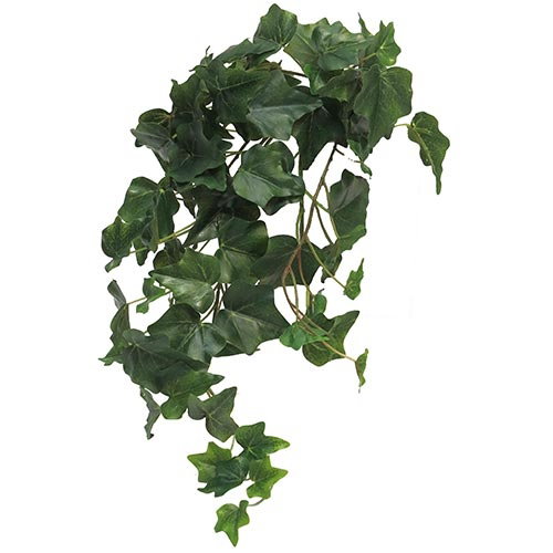 https://cdn.warentuin.nl/media/catalog/product/S/C/SCAN705453100016_nova_nature_kunsthangplanten_ivy_chicago_m_kunsthangplant_5a70.jpg