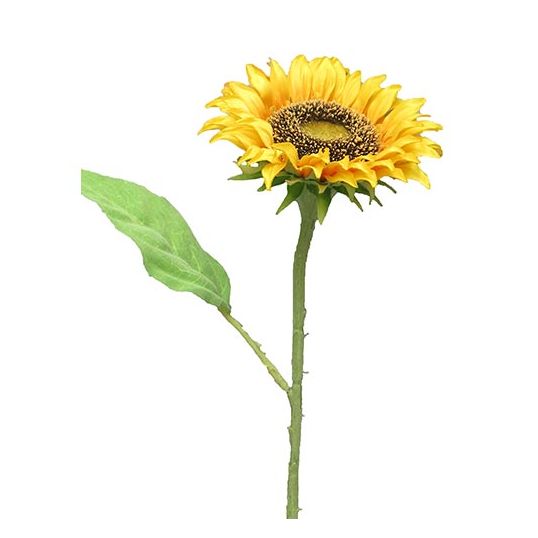https://cdn.warentuin.nl/media/catalog/product/S/C/SCAN705458485224_nova_nature_kunstplant_kunst_sunflower_tuscany_s_44c7.jpg