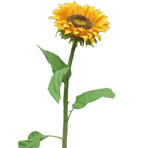 https://cdn.warentuin.nl/media/catalog/product/S/C/SCAN705458485323_nova_nature_kunstbloemen_sunflower_tuscany_m_77_cm_kunstbloem_85b5.jpg