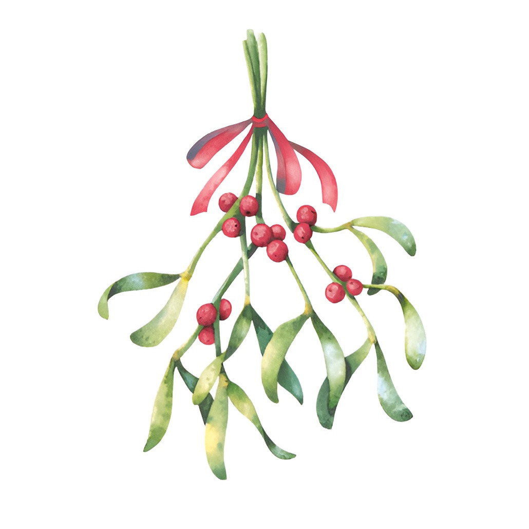 Servet l33b33 cm xmas mistleto 20 stuks Duni - Duni