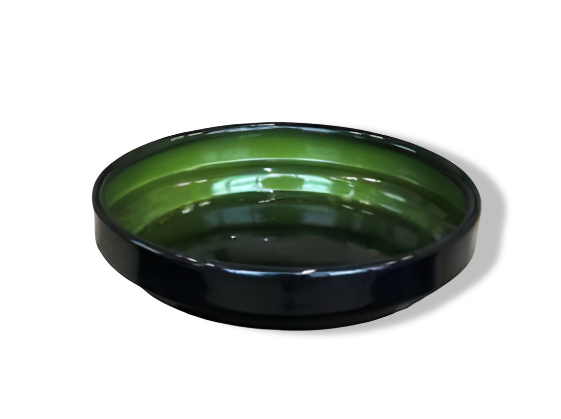 https://cdn.warentuin.nl/media/catalog/product/S/C/SCAN7332509076174_01_upcycle_schotel_algen_groen_m_12x2_5cm_buitengewoon_de_boe_6e47.jpg