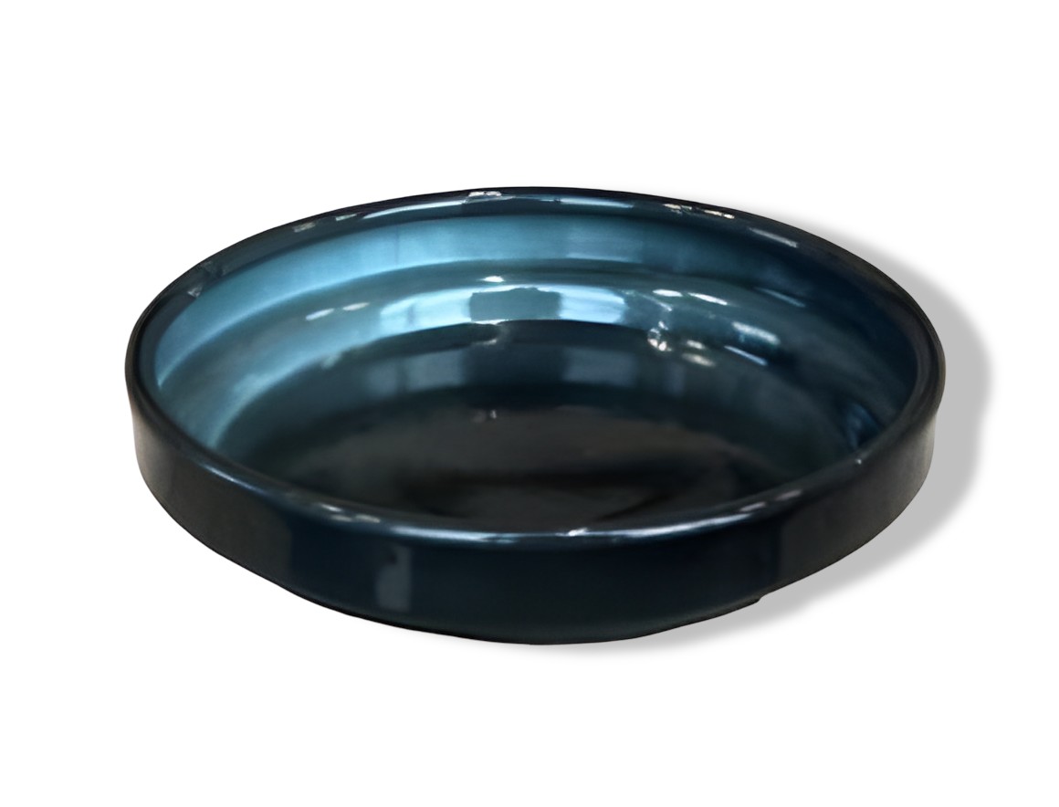 https://cdn.warentuin.nl/media/catalog/product/S/C/SCAN7332509076525_01_upcycle_schotel_oceaan_blauw_s_10x2_5cm_buitengewoon_de_bo_7364.jpg