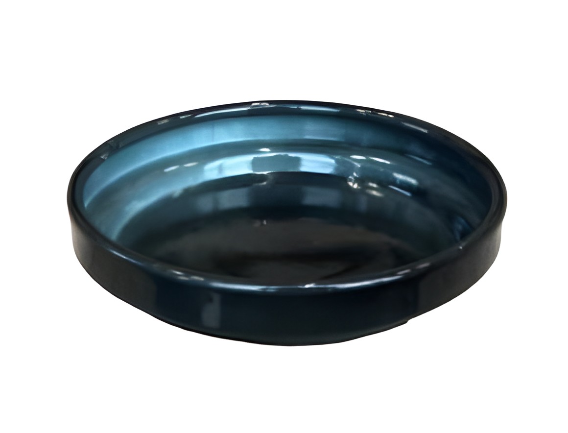 https://cdn.warentuin.nl/media/catalog/product/S/C/SCAN7332509076532_upcycle_schotel_oceaan_blauw_m_12x2_5cm_buitengewoon_de_boet_30f8.jpg