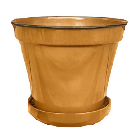 https://cdn.warentuin.nl/media/catalog/product/S/C/SCAN7332509987104_pot_met_rand_geel_l_30x32cm_buitengewoon_de_boet_1e15.jpg