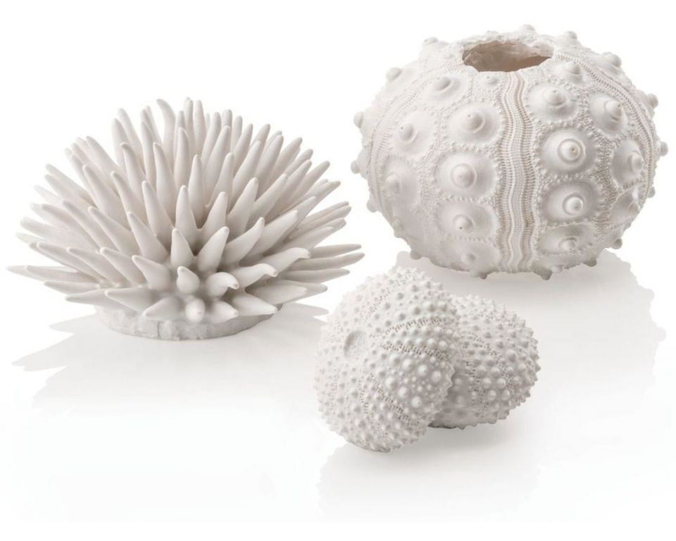 https://cdn.warentuin.nl/media/catalog/product/S/C/SCAN822728010402_oase_aquariumtoebehoren_biorb_zee_egel_set_wit_ba27.jpeg