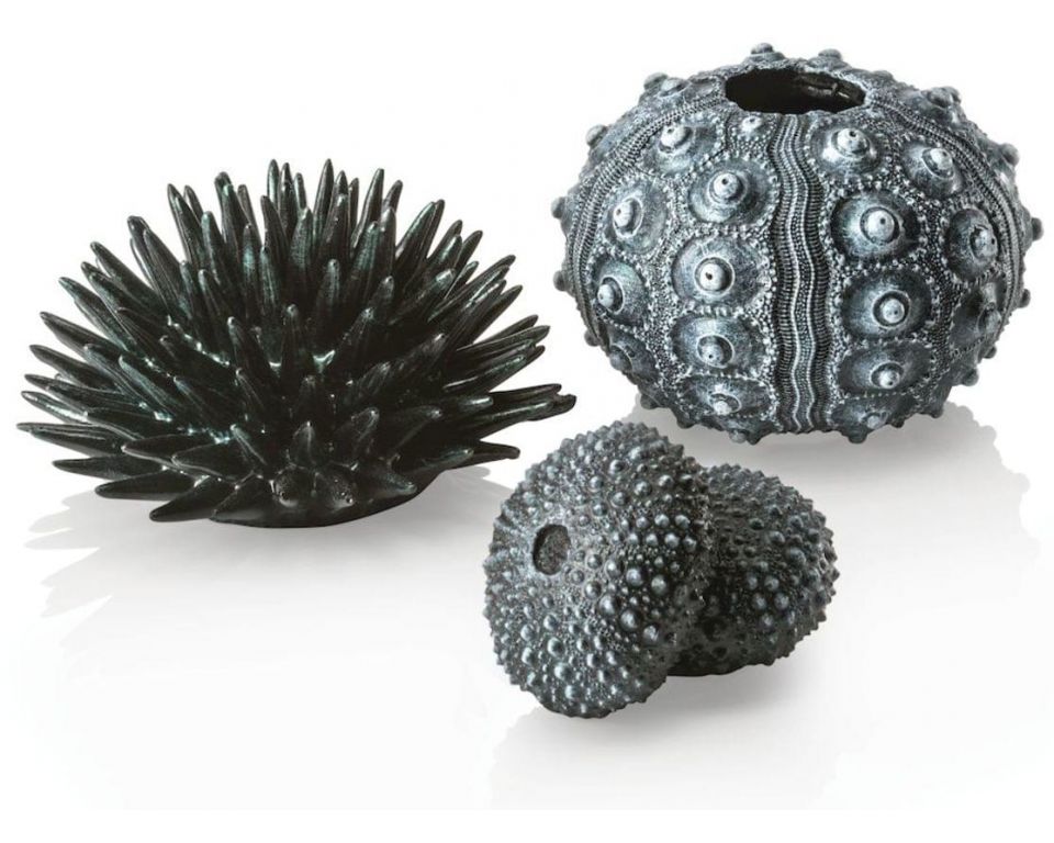 https://cdn.warentuin.nl/media/catalog/product/S/C/SCAN822728010419_oase_aquariumtoebehoren_biorb_zee_egel_set_zwart_720f.jpeg