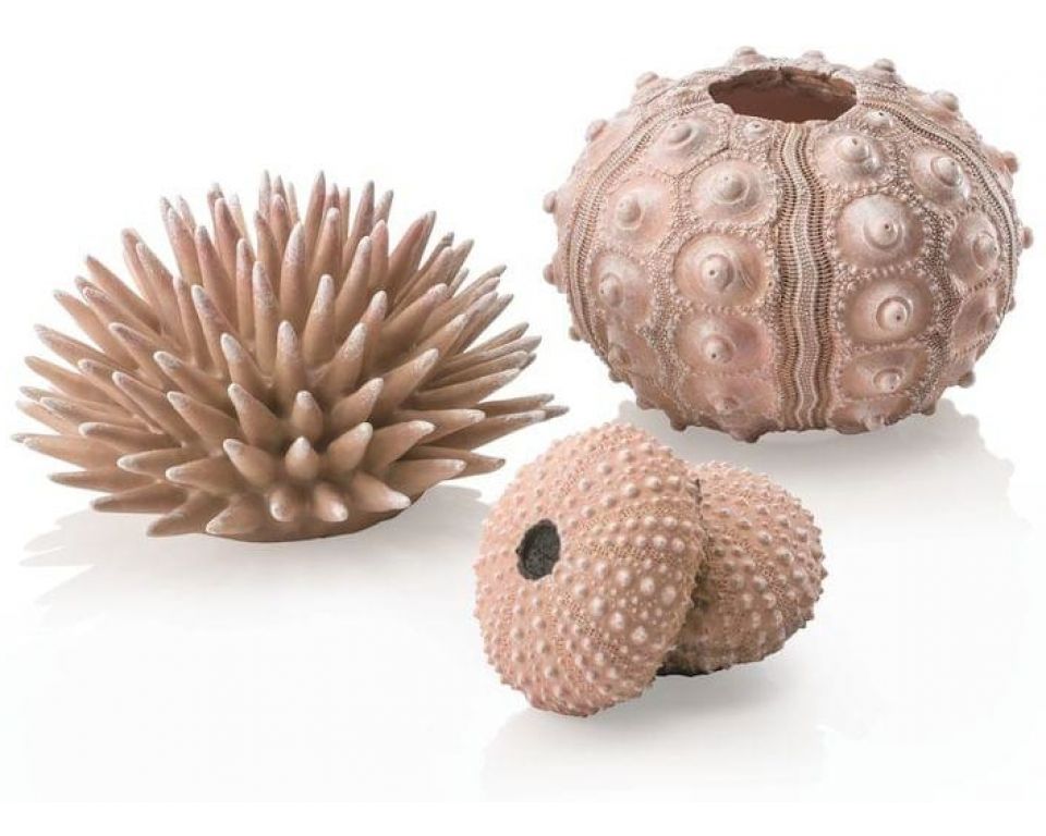 https://cdn.warentuin.nl/media/catalog/product/S/C/SCAN822728010426_oase_aquariumtoebehoren_biorb_zee_egel_set_naturel_dc61.jpeg