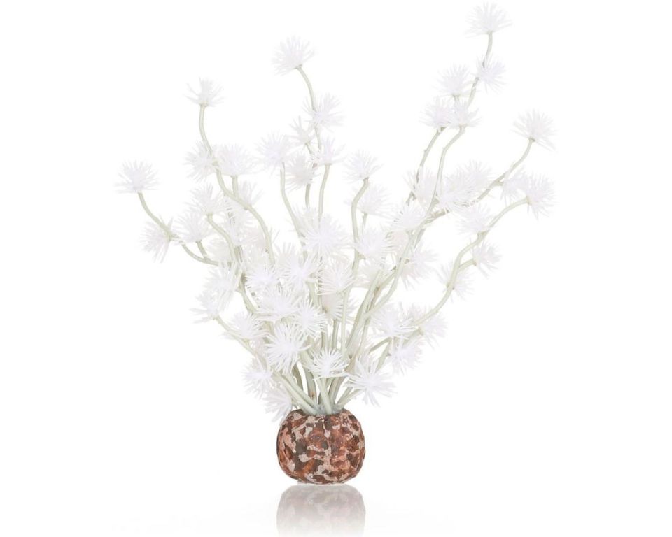 https://cdn.warentuin.nl/media/catalog/product/S/C/SCAN822728550687_oase_aquariumtoebehoren_biorb_bonsai_bal_wit_36ee.jpeg