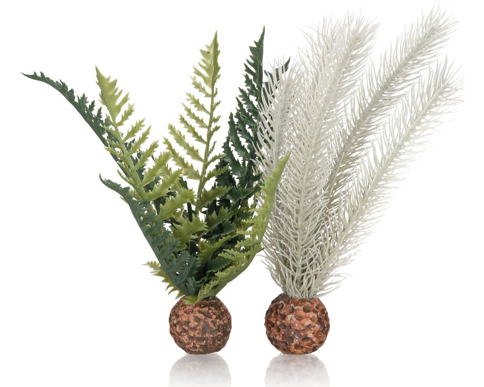 https://cdn.warentuin.nl/media/catalog/product/S/C/SCAN822728550755_oase_aquariumtoebehoren_biorb_distelvaren_grijs_groen_s_ca6b.jpeg