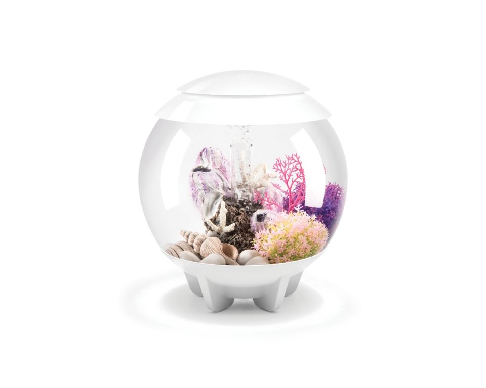 https://cdn.warentuin.nl/media/catalog/product/S/C/SCAN822728720387_oase_aquariumtoebehoren_biorb_halo_15_mcr_wit_7ba3.jpeg