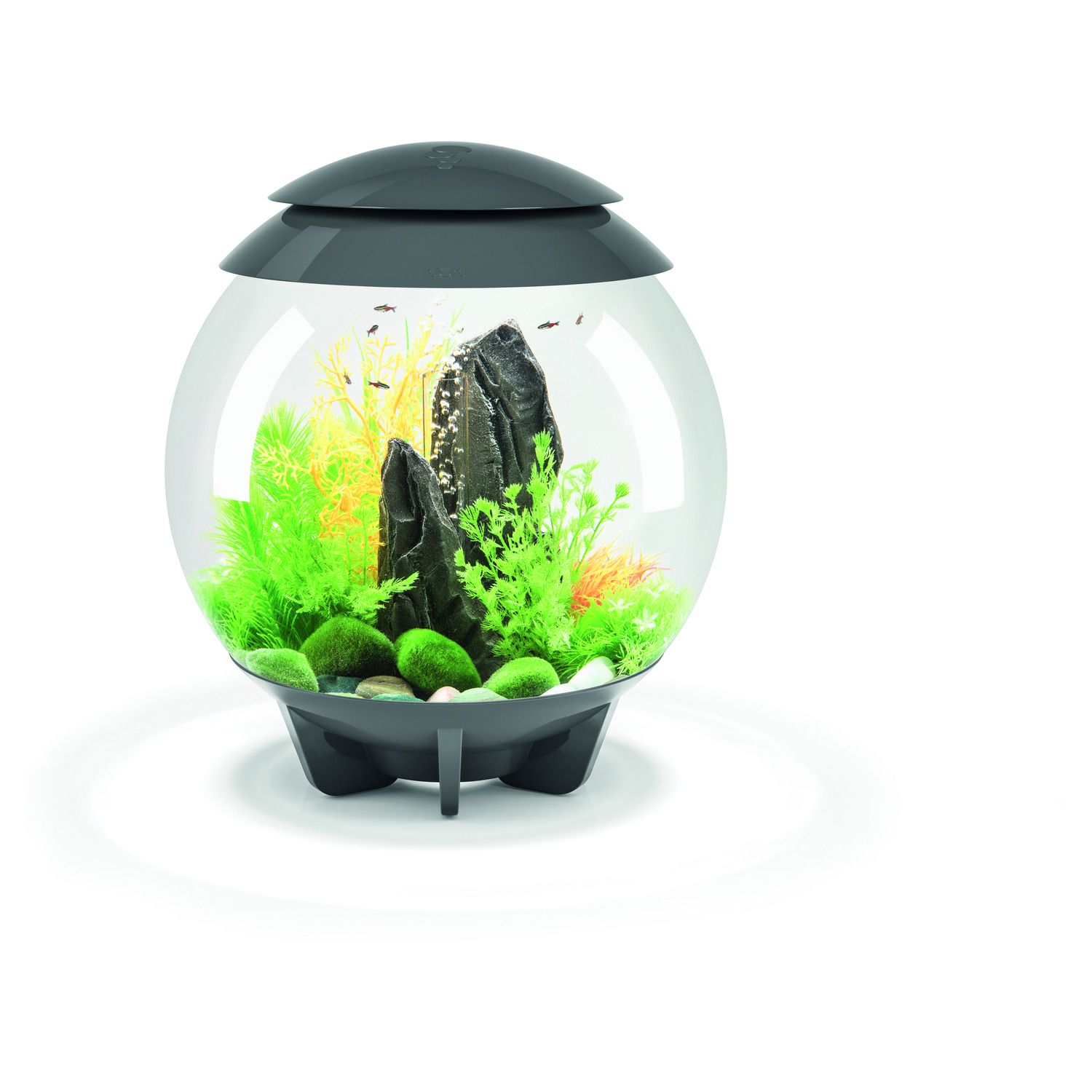 https://cdn.warentuin.nl/media/catalog/product/S/C/SCAN822728720417_oase_aquariumtoebehoren_biorb_halo_30_mcr_grijs_9faa.jpeg