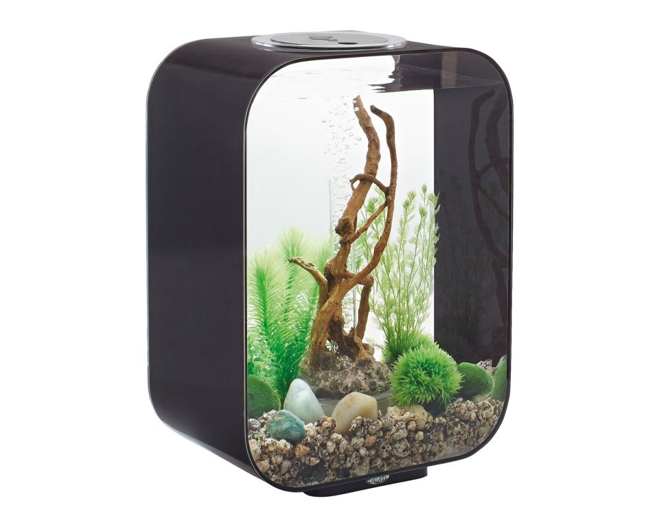 https://cdn.warentuin.nl/media/catalog/product/S/C/SCAN822728720516_oase_aquariumtoebehoren_biorb_life_15_mcr_zwart_9492.jpeg