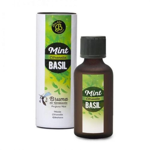 https://cdn.warentuin.nl/media/catalog/product/S/C/SCAN8432097160435_boles_d_olor_geurolie_geurolie_50ml_mint_citronlla_basil_787f.jpg