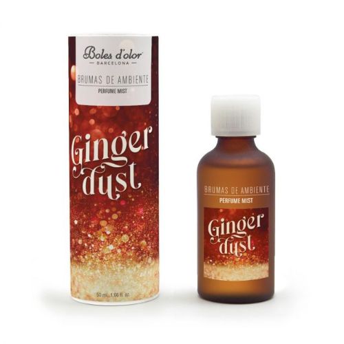 https://cdn.warentuin.nl/media/catalog/product/S/C/SCAN8432097171745_boles_d_olor_geurolie_geurolie_50ml_ginger_dust_9b18.jpg